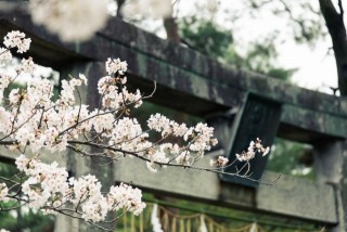 久留米城跡･篠山神社
