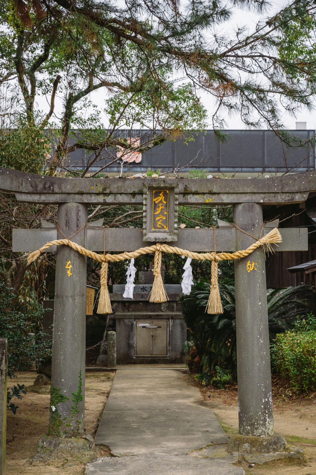 唐津神社