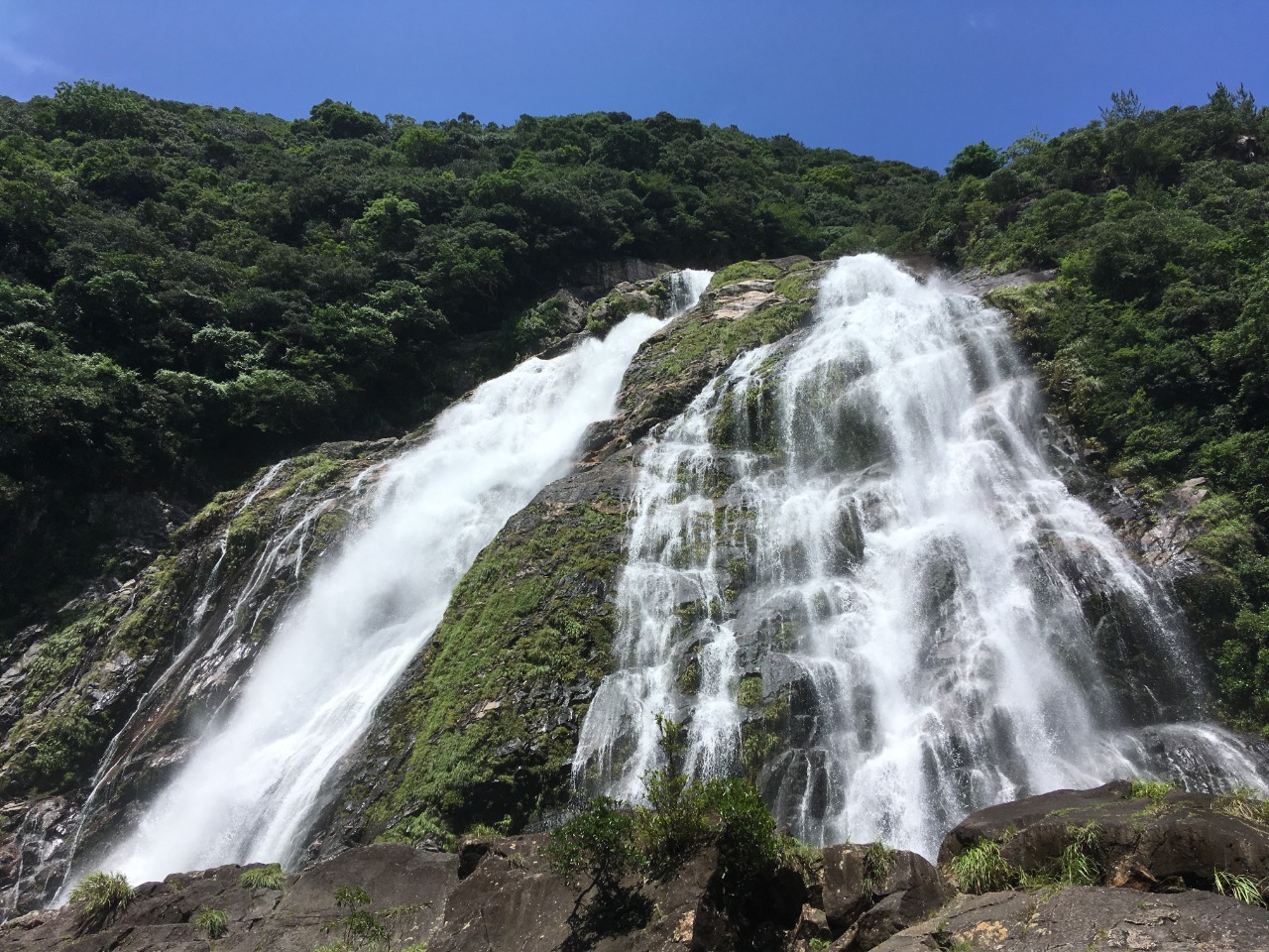 屋久島　大川の滝