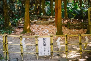 青島神社周辺